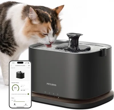 PETLIBRO Cat Fountain Stainless Steel 3L Battery Operated Best Deal