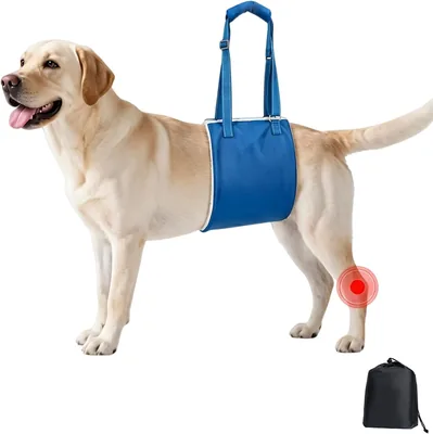 Arnés de Elevación para Perros con Apoyo en las Patas Traseras, Sling de Rehabilitación para Perros Mayores con Artritis