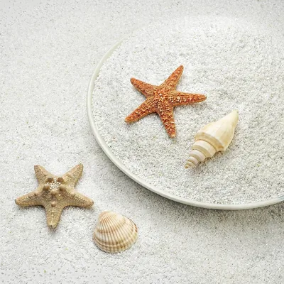 NUPICK Aquarium Sand 0.4-0.8mm White 3lbs
