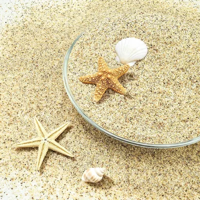 NUPICK Aquarium Sand Beige 0.4-0.8mm 3lbs Substrate