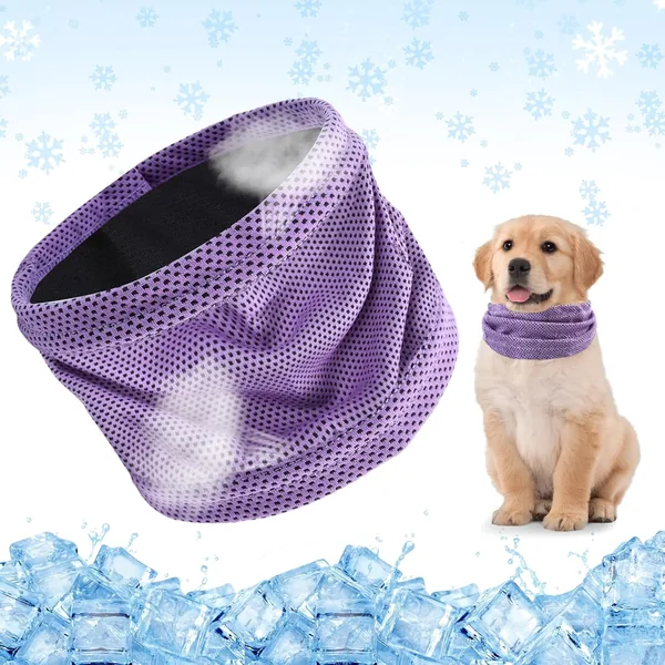 Coller de refroidissement pour chien, Écharpe de refroidissement pour chien, Écharpes de refroidissement pour chiens en été (Violet, S)