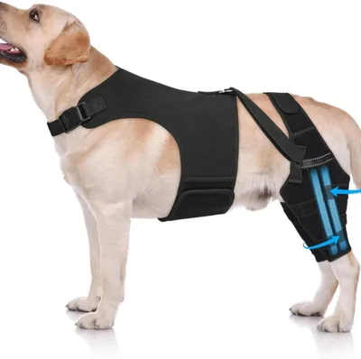 Férula para rodilla de perro con 4 estabilizadores soporte ajustable lesiones ligamento cruzado anterior ACL y ligamentos lux - Mejor Precio