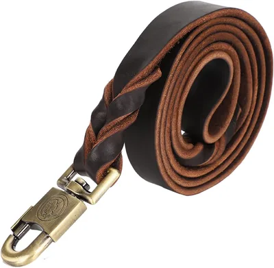 Braided Leather Dog Collar & Leash Set - Adjustable Length