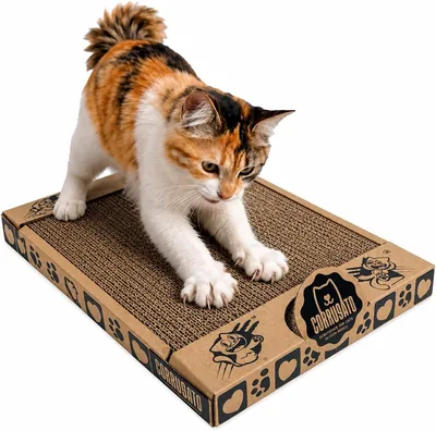 Rascador de Cartón Corrugado para Gatos - 20% de Descuento