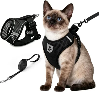 Arnés para Gato Ajustable con Correa Transpirable y Reflectante de 120 cm - ONG NAMO Pechera