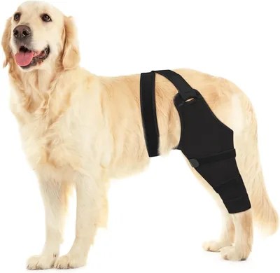 Dog Sleeve for Rear Legs - Recovery Support Best Deal