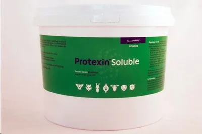 Kyron Lab Protexin Soluble Probiotic Powder 1kg Best Deal