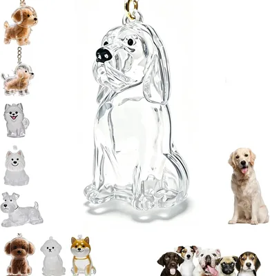 Sencdfly - Llavero Coleccionista de Pelo para Perro, Caja de Almacenamiento Conmemorativa