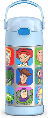 Thermos Funainer Water Bottle 12oz Kids Stainless Steel Vacuum Insulated with Straw, Toy Story Best Deal