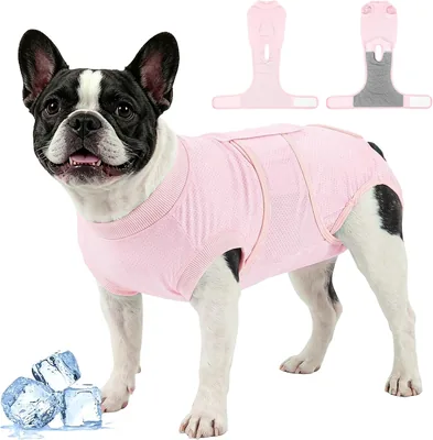 Kuoser OP Body Hund, Atmungsaktiv Hunde Body für Hündin & Rüde, Rosa, M | Best Deal