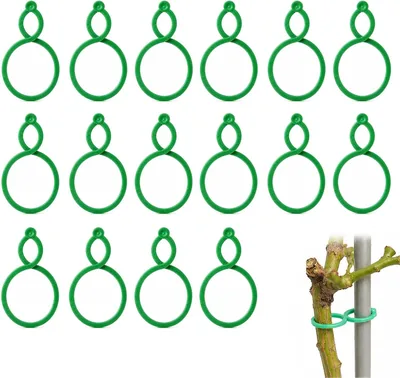 100Pcs Plant Rings Green Clips Best Deal