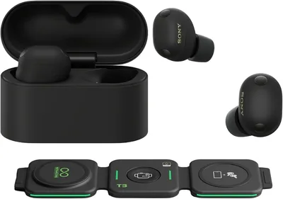 Sony WF-1000XM6 Wireless Earbuds (Black)