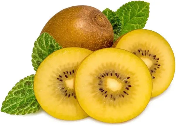 Kiwi Gold - South Africa, 450-550g