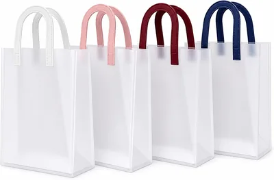 Transparent Frosted Carry Bags with Handles - Reusable Gift Bags, 2 Pieces