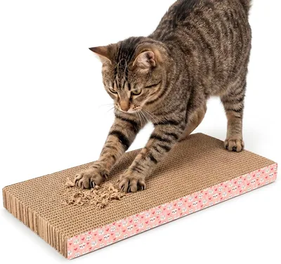 Rascador Recto Chico para Gato Fancy Pets con Catnip y Cartón Corrugado Doble Cara, Diseño Compacto para Uñas y Enriquecimiento - Best Deal