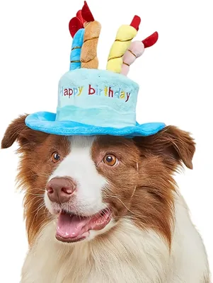 Sombrero para Perro Kcuwugw, Cumpleaños, Diseño Ajustable, Fiesta Mascotas, Gorro de Peluche Canino