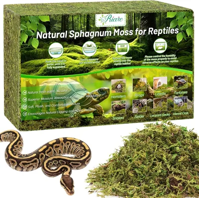 Riare 7OZ Natural Sphagnum Moss for Reptiles - Best Deal