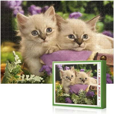 1000 Piece Scenic Jigsaw Puzzle - Best Deal