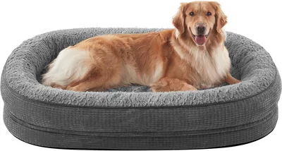 JOEJOY Orthopedic Dog Bed XL - Memory Foam Egg-Crate Couch with Bolster Sides, Waterproof - Best Deal