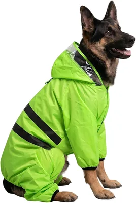 केयरेटिक नीओनशील्ड प्रो जंपसूट कुत्ता बारिश का परिधान जर्मन शेपर्ड के लिए | वयस्क (2-4 वर्ष) - 26 | जलरोधक कुत्ता बारिश पहनना