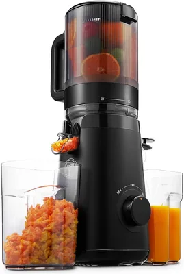 Juicer Machine 33% Off - Masticating Cold Press Juicer
