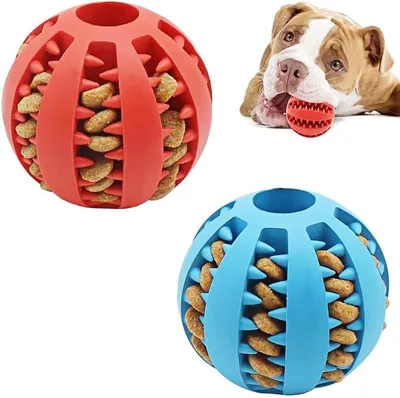 LANCI Interactive Dog Toy Ball - Durable Chew Toy with Random Color