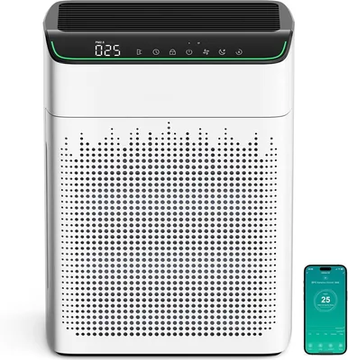 MERONTE Air Purifier Large Room 77% Off