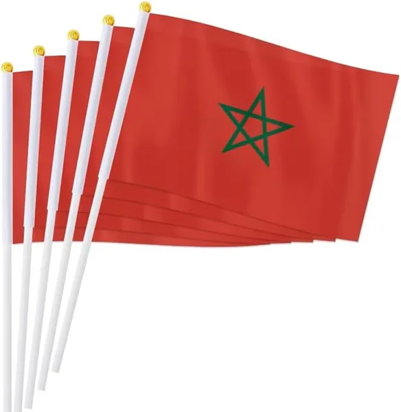 YIMICO 10PCS Flag Set - World Country National Teams for Football Party Best Deal