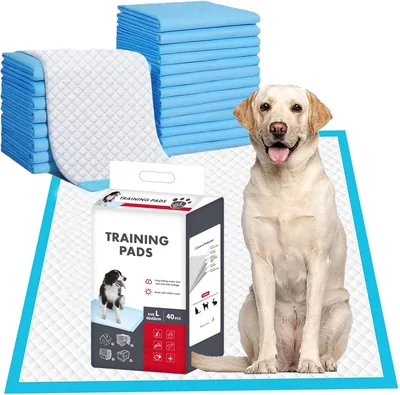 Almohadillas de Entrenamiento Desechables para Mascotas - 40 Piezas Super Absorbentes - 12% Descuento