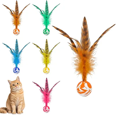 AOVNA 6 Pcs Bouncy Balls for Cats Best Deal