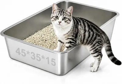 Caja de Arena para Gatos NCOIIBF, Acero Inoxidable, 45x35x15cm | Lado Alto, Para Gato Grande, Interior, Compatible