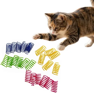 Psxixjsm Pack of 24 Cat Toys Spiral Spring Interactive Play Best Deal