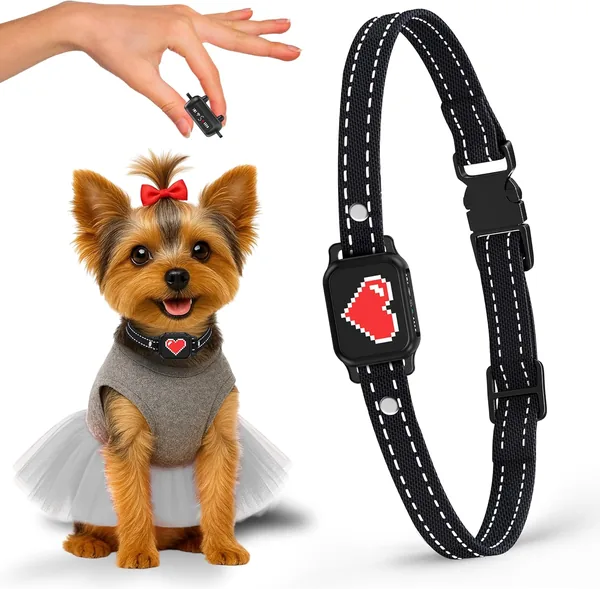 PetSafe GentleLearn Bark Collar for Small Dogs - 5 Beep Modes, Vibration & Magnetic Charging Best Deal