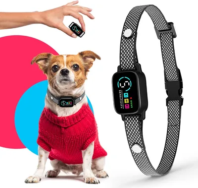 Bark Collar for Small Dogs - No Shock Anti Barking Collar Best Deal