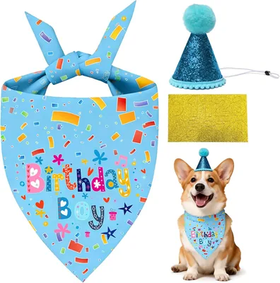 SCHITEC Blue Birthday Dog Set - Bandana & Hat (2-Pack) Best Deal