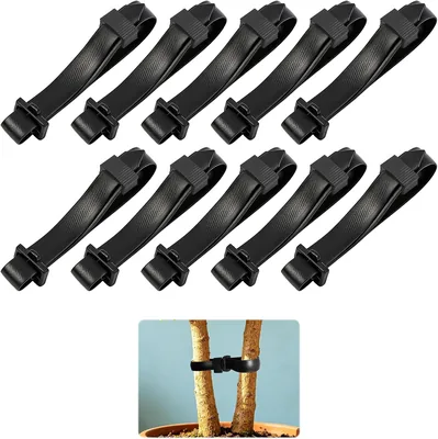Tree Straps 10 Pack - 5% Off