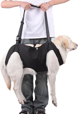 Arnés de Elevación para Perros, Soporte Pechera Ajustable, Seguridad Hebilla, Caminar y Subir Escaleras con Ayuda - Mejor Precio