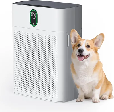 Pureborne Air Purifier Large Room 71% Off