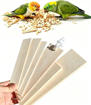 AMZSHARK Large Untreated Balsa Wood Bird Chew Toys 6 Pack