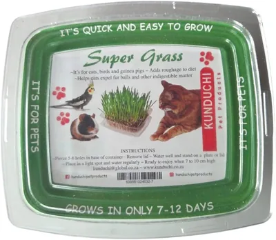 Super Grass Kunduchi for Pets - Easy to Grow | Best Deal