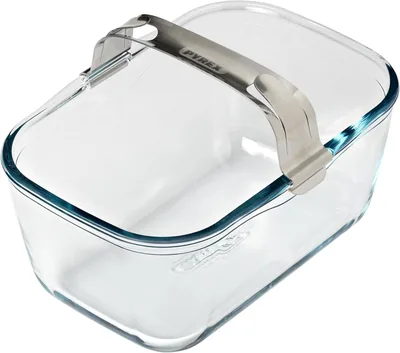 Pyrex - Plat de cuisson en verre robuste avec poignée amovible en acier inoxydable - 20 x 14 cm - Meilleure affaire