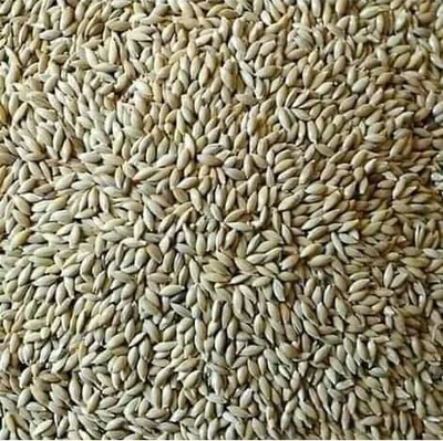 فُلار للكناري والبودجي والكوكاتيل - 1 كجم (12% خصم)