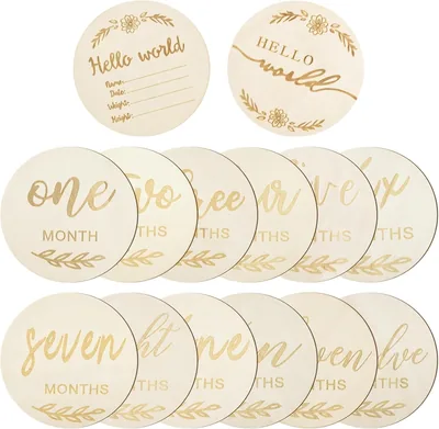 Wooden Baby Milestone Discs - 14 Piece Set for Newborn Photos, Best Deal