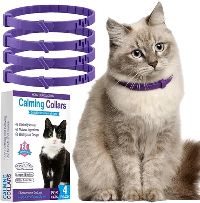 ZCAXGBH 4 Pcs Collar Calmante para Gatos, Collares Impermeables Ajustables con Feromonas, Oferta del 12% de Descuento