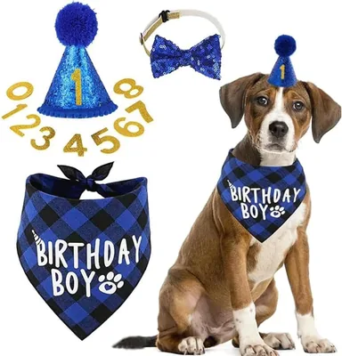 KingtenStar Kit Cumpleaños Perro, Gorra Números Cambiables 0-8, Lazo y Bandana Azul - Mejor Oferta