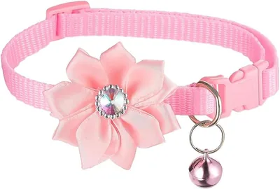 Collar para Gato KingtenStar con Cascabeles y Flores, Rosa, Ajuste 19-32cm | Descuento del 20%