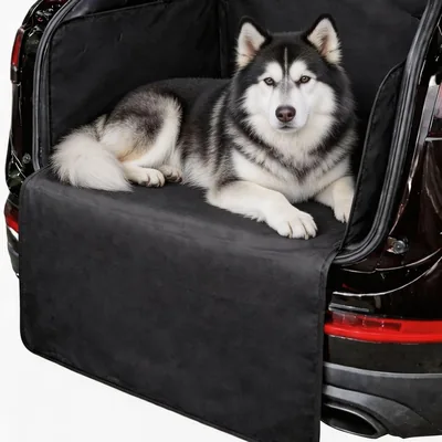 FARYODI Dog Boot Protector Best Deal