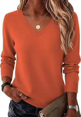 Zeagoo Women's Long Sleeve Sweater - Best Deal