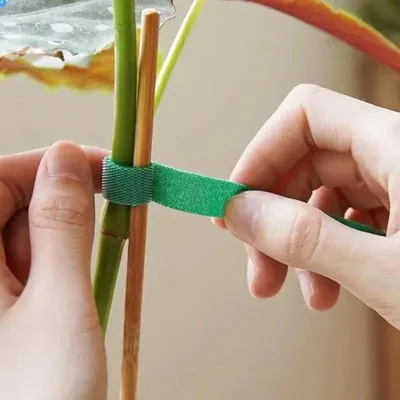 33ft Plant Ties Best Price