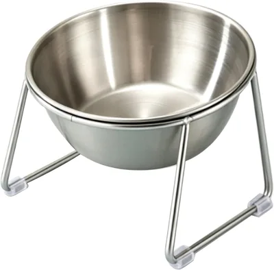 Elevated Cat Bowls, Stainless Steel Tilted Food & Water Dishes with Anti-Slip Stand